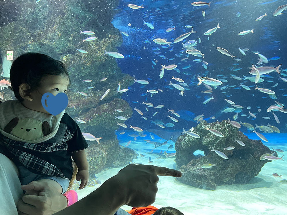 1歳息子とサンシャイン水族館🐟